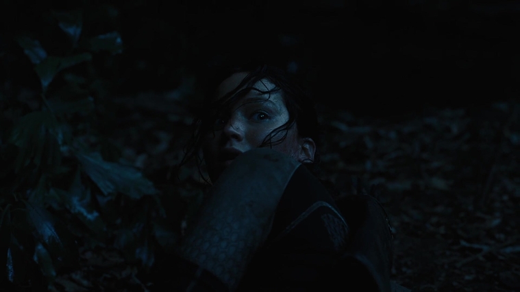 The_Hunger_Games_Catching_Fire_2013_1080p_BluRay_x264_AAC_-_Ozlem_08086.jpg
