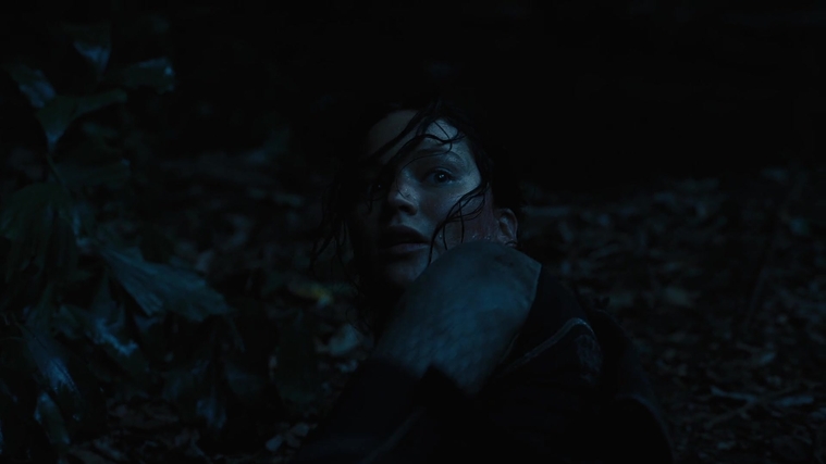 The_Hunger_Games_Catching_Fire_2013_1080p_BluRay_x264_AAC_-_Ozlem_08087.jpg