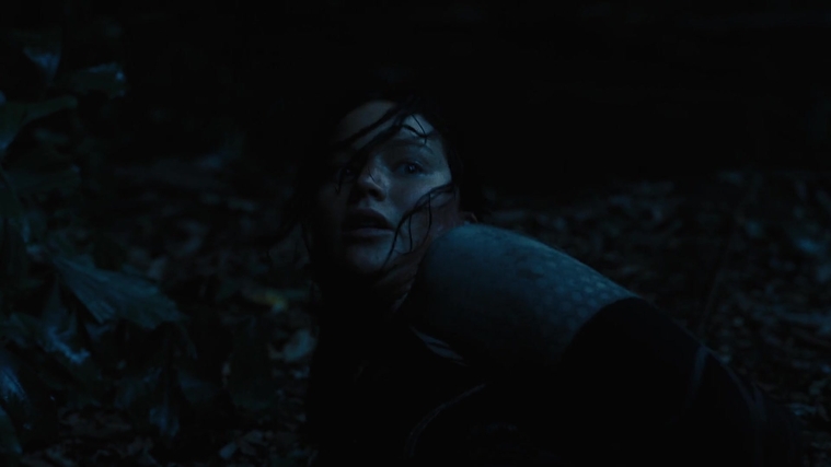 The_Hunger_Games_Catching_Fire_2013_1080p_BluRay_x264_AAC_-_Ozlem_08088.jpg
