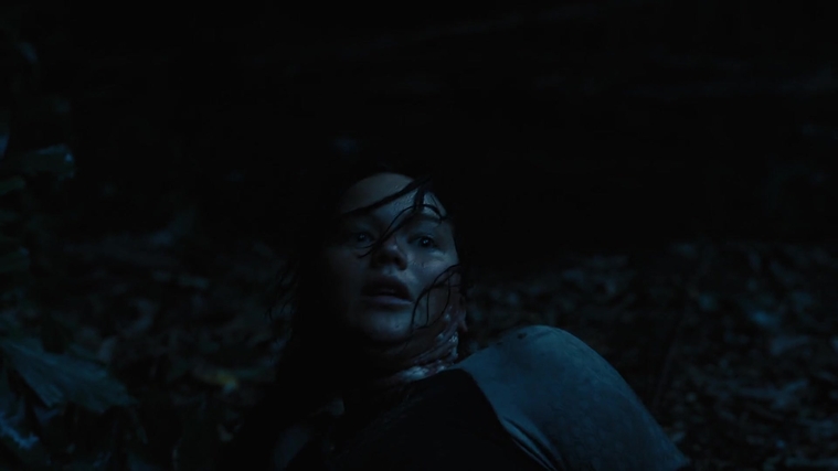 The_Hunger_Games_Catching_Fire_2013_1080p_BluRay_x264_AAC_-_Ozlem_08089.jpg