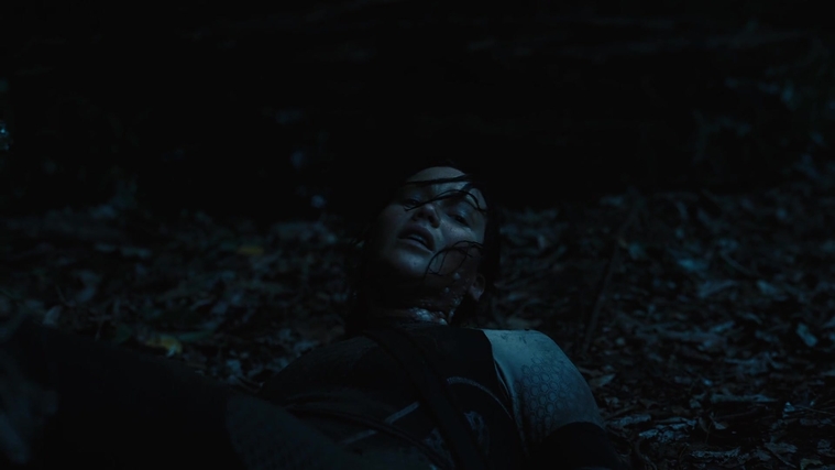 The_Hunger_Games_Catching_Fire_2013_1080p_BluRay_x264_AAC_-_Ozlem_08097.jpg
