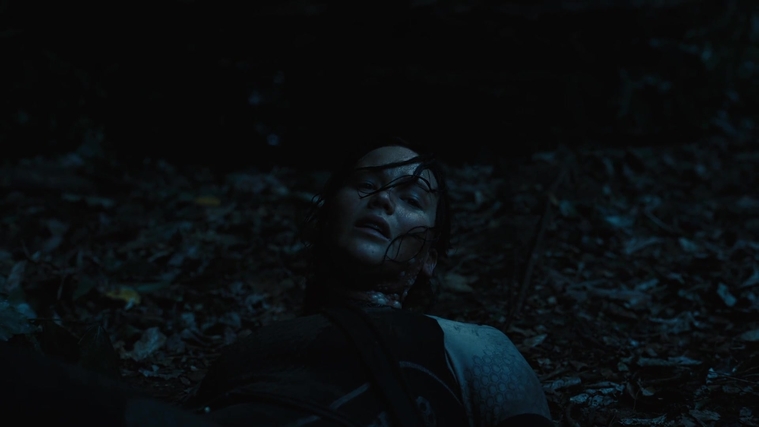 The_Hunger_Games_Catching_Fire_2013_1080p_BluRay_x264_AAC_-_Ozlem_08101.jpg