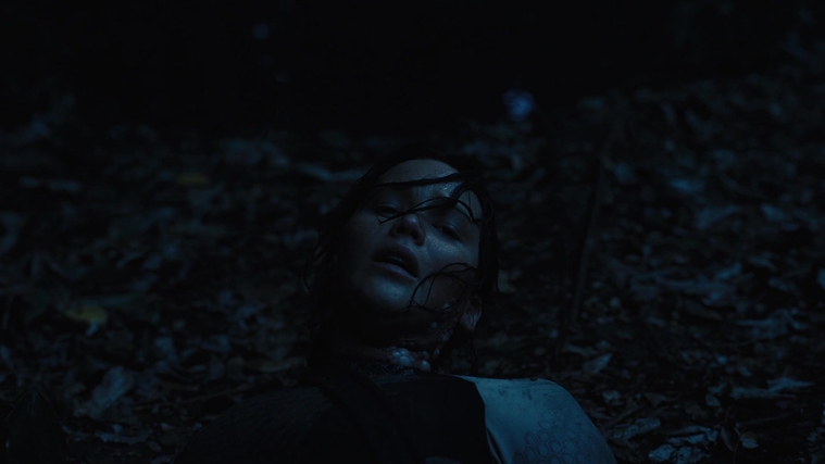 The_Hunger_Games_Catching_Fire_2013_1080p_BluRay_x264_AAC_-_Ozlem_08132.jpg