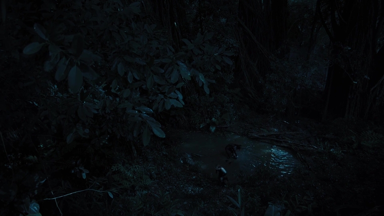 The_Hunger_Games_Catching_Fire_2013_1080p_BluRay_x264_AAC_-_Ozlem_08265.jpg
