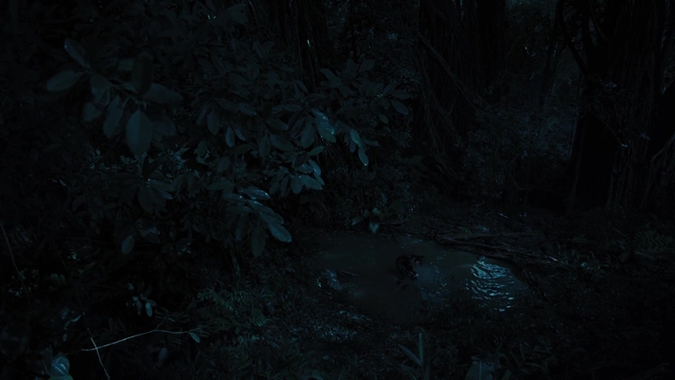 The_Hunger_Games_Catching_Fire_2013_1080p_BluRay_x264_AAC_-_Ozlem_08269.jpg
