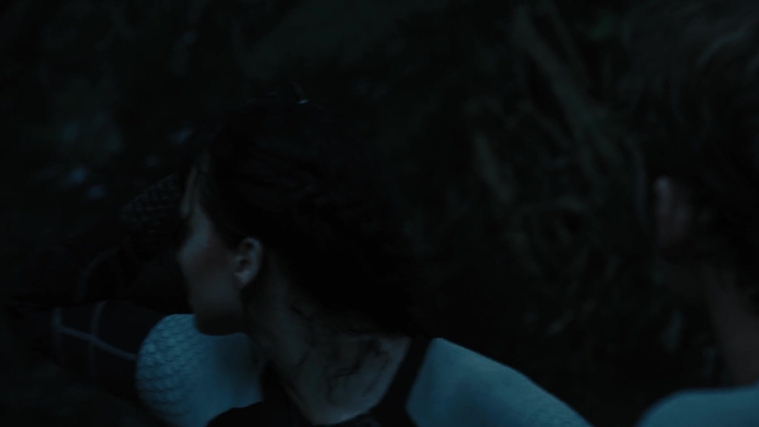 The_Hunger_Games_Catching_Fire_2013_1080p_BluRay_x264_AAC_-_Ozlem_08341.jpg