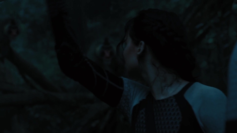 The_Hunger_Games_Catching_Fire_2013_1080p_BluRay_x264_AAC_-_Ozlem_08343.jpg