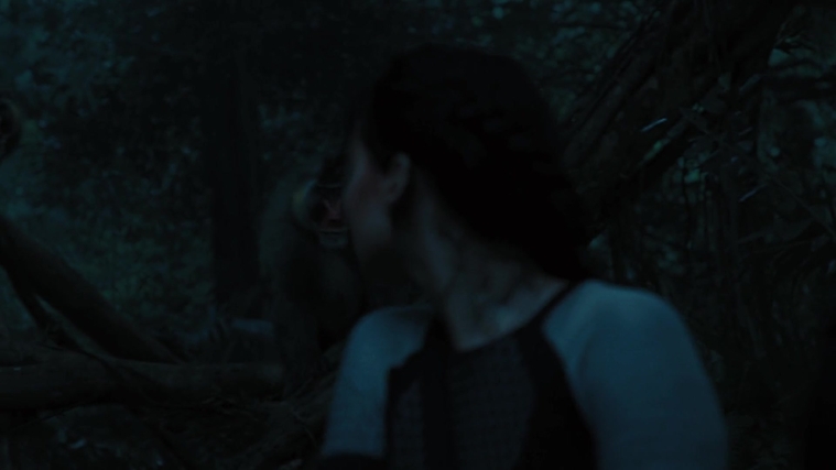 The_Hunger_Games_Catching_Fire_2013_1080p_BluRay_x264_AAC_-_Ozlem_08344.jpg