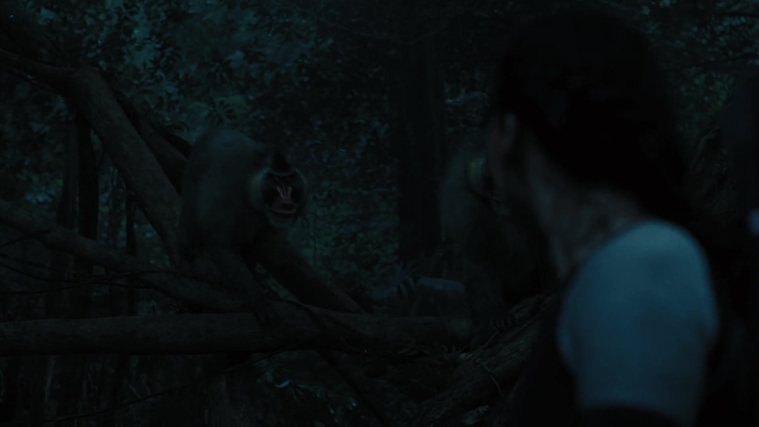The_Hunger_Games_Catching_Fire_2013_1080p_BluRay_x264_AAC_-_Ozlem_08346.jpg