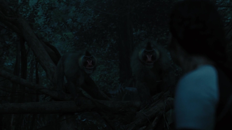 The_Hunger_Games_Catching_Fire_2013_1080p_BluRay_x264_AAC_-_Ozlem_08347.jpg