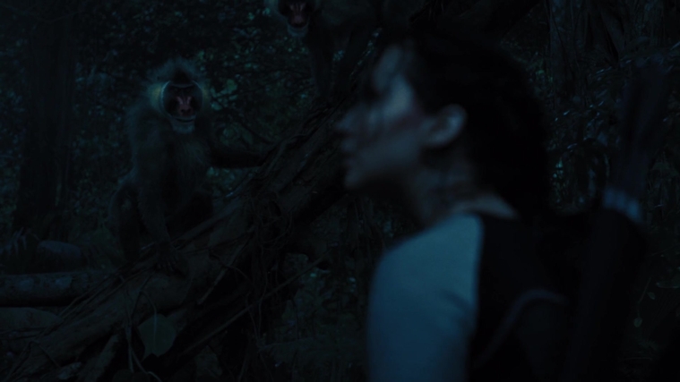 The_Hunger_Games_Catching_Fire_2013_1080p_BluRay_x264_AAC_-_Ozlem_08353.jpg