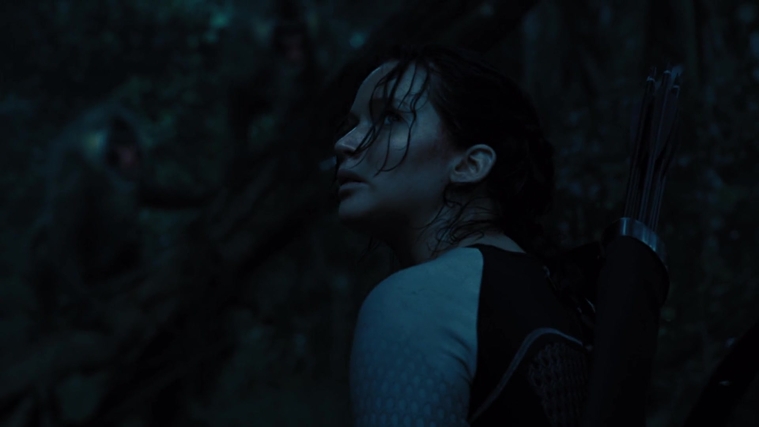 The_Hunger_Games_Catching_Fire_2013_1080p_BluRay_x264_AAC_-_Ozlem_08355.jpg