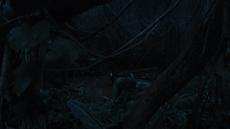 The_Hunger_Games_Catching_Fire_2013_1080p_BluRay_x264_AAC_-_Ozlem_08358.jpg