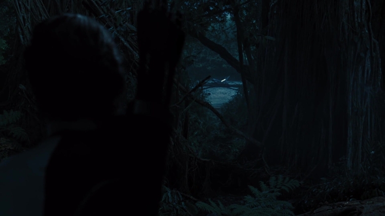 The_Hunger_Games_Catching_Fire_2013_1080p_BluRay_x264_AAC_-_Ozlem_08373.jpg