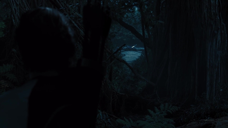 The_Hunger_Games_Catching_Fire_2013_1080p_BluRay_x264_AAC_-_Ozlem_08374.jpg