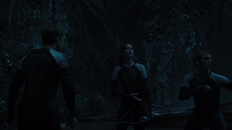 The_Hunger_Games_Catching_Fire_2013_1080p_BluRay_x264_AAC_-_Ozlem_08407.jpg