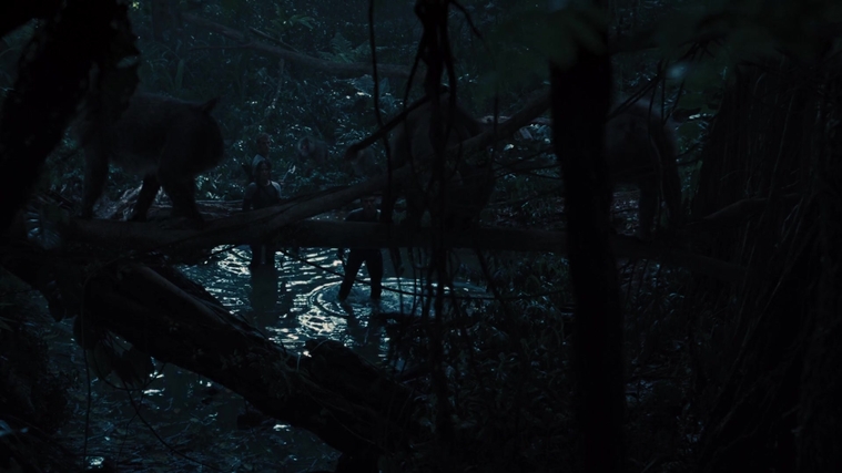 The_Hunger_Games_Catching_Fire_2013_1080p_BluRay_x264_AAC_-_Ozlem_08413.jpg