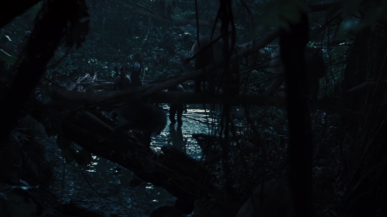 The_Hunger_Games_Catching_Fire_2013_1080p_BluRay_x264_AAC_-_Ozlem_08416.jpg