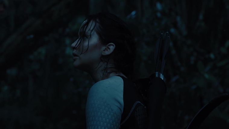 The_Hunger_Games_Catching_Fire_2013_1080p_BluRay_x264_AAC_-_Ozlem_08426.jpg