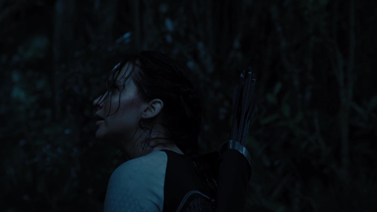 The_Hunger_Games_Catching_Fire_2013_1080p_BluRay_x264_AAC_-_Ozlem_08431.jpg