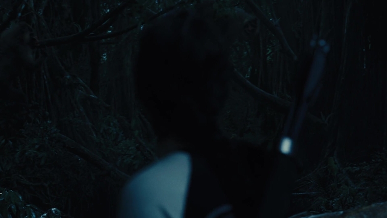 The_Hunger_Games_Catching_Fire_2013_1080p_BluRay_x264_AAC_-_Ozlem_08434.jpg
