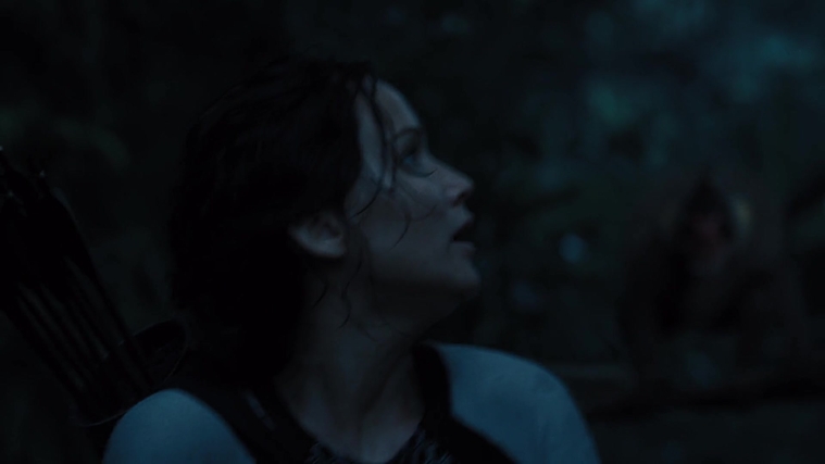 The_Hunger_Games_Catching_Fire_2013_1080p_BluRay_x264_AAC_-_Ozlem_08438.jpg
