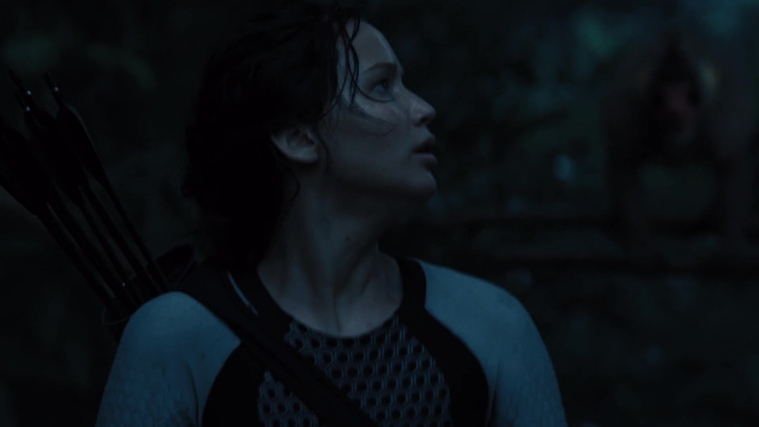 The_Hunger_Games_Catching_Fire_2013_1080p_BluRay_x264_AAC_-_Ozlem_08440.jpg