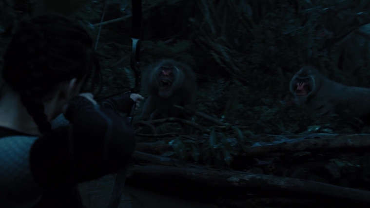 The_Hunger_Games_Catching_Fire_2013_1080p_BluRay_x264_AAC_-_Ozlem_08444.jpg