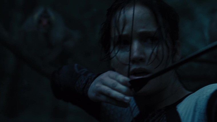 The_Hunger_Games_Catching_Fire_2013_1080p_BluRay_x264_AAC_-_Ozlem_08446.jpg