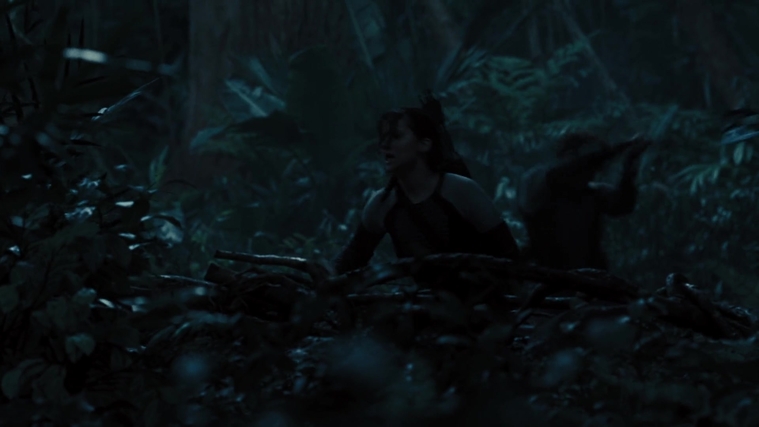 The_Hunger_Games_Catching_Fire_2013_1080p_BluRay_x264_AAC_-_Ozlem_08482.jpg