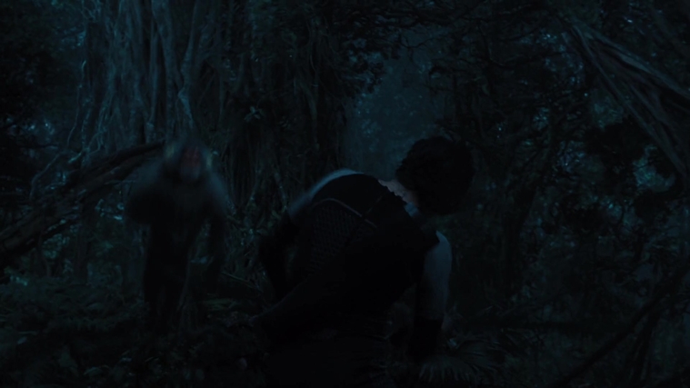 The_Hunger_Games_Catching_Fire_2013_1080p_BluRay_x264_AAC_-_Ozlem_08507.jpg