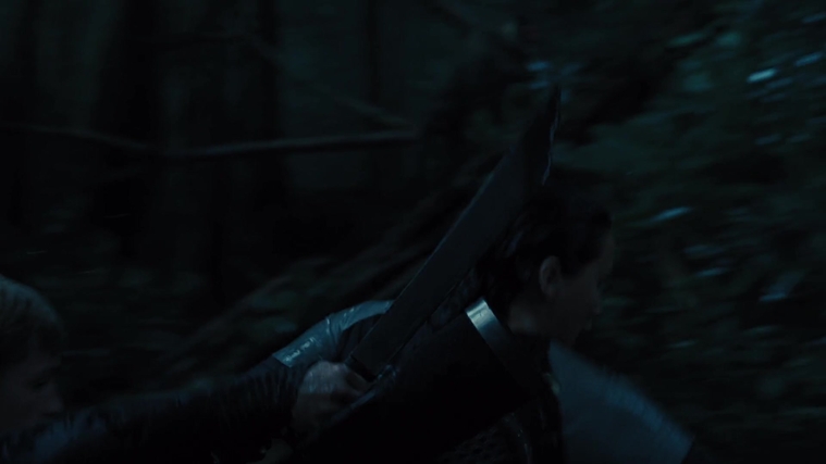 The_Hunger_Games_Catching_Fire_2013_1080p_BluRay_x264_AAC_-_Ozlem_08528.jpg