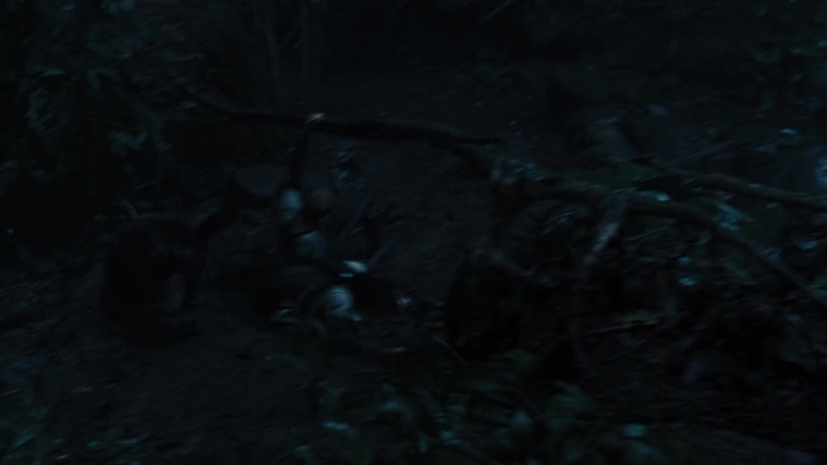 The_Hunger_Games_Catching_Fire_2013_1080p_BluRay_x264_AAC_-_Ozlem_08537.jpg