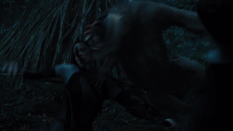 The_Hunger_Games_Catching_Fire_2013_1080p_BluRay_x264_AAC_-_Ozlem_08539.jpg