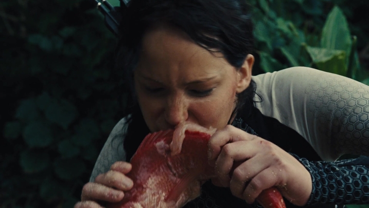 The_Hunger_Games_Catching_Fire_2013_1080p_BluRay_x264_AAC_-_Ozlem_08760.jpg