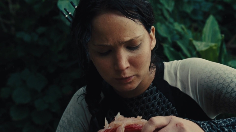 The_Hunger_Games_Catching_Fire_2013_1080p_BluRay_x264_AAC_-_Ozlem_08762.jpg