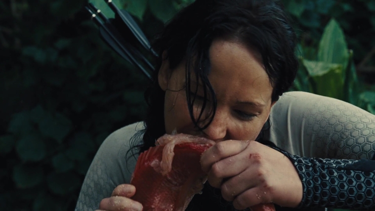 The_Hunger_Games_Catching_Fire_2013_1080p_BluRay_x264_AAC_-_Ozlem_08763.jpg