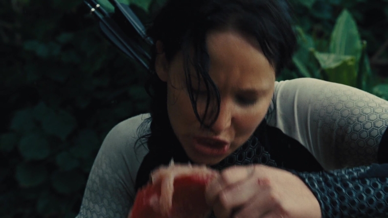 The_Hunger_Games_Catching_Fire_2013_1080p_BluRay_x264_AAC_-_Ozlem_08764.jpg