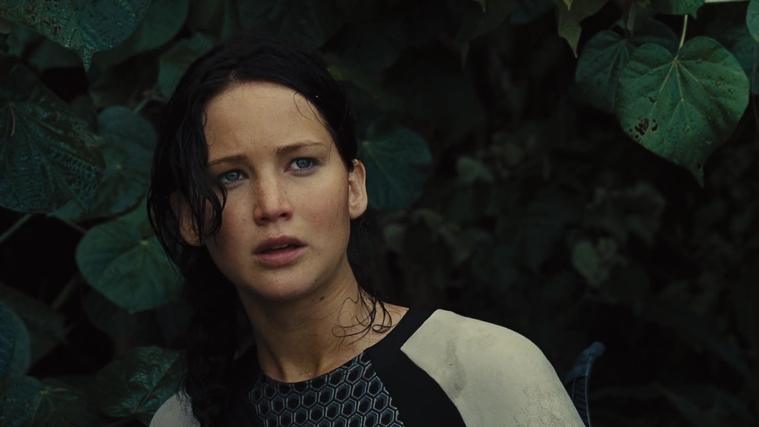 The_Hunger_Games_Catching_Fire_2013_1080p_BluRay_x264_AAC_-_Ozlem_08857.jpg