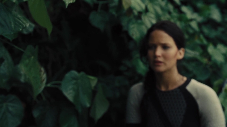 The_Hunger_Games_Catching_Fire_2013_1080p_BluRay_x264_AAC_-_Ozlem_08905.jpg
