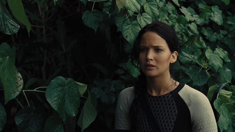 The_Hunger_Games_Catching_Fire_2013_1080p_BluRay_x264_AAC_-_Ozlem_08906.jpg