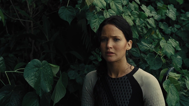 The_Hunger_Games_Catching_Fire_2013_1080p_BluRay_x264_AAC_-_Ozlem_08908.jpg