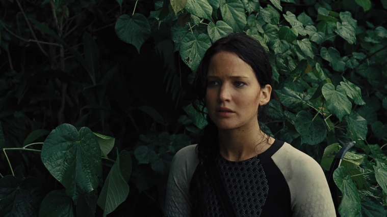 The_Hunger_Games_Catching_Fire_2013_1080p_BluRay_x264_AAC_-_Ozlem_08909.jpg