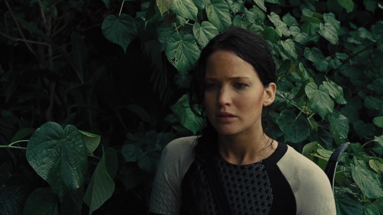 The_Hunger_Games_Catching_Fire_2013_1080p_BluRay_x264_AAC_-_Ozlem_08910.jpg