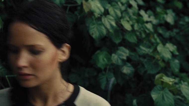The_Hunger_Games_Catching_Fire_2013_1080p_BluRay_x264_AAC_-_Ozlem_08911.jpg