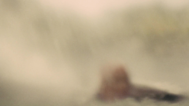 The_Hunger_Games_Catching_Fire_2013_1080p_BluRay_x264_AAC_-_Ozlem_09319.jpg