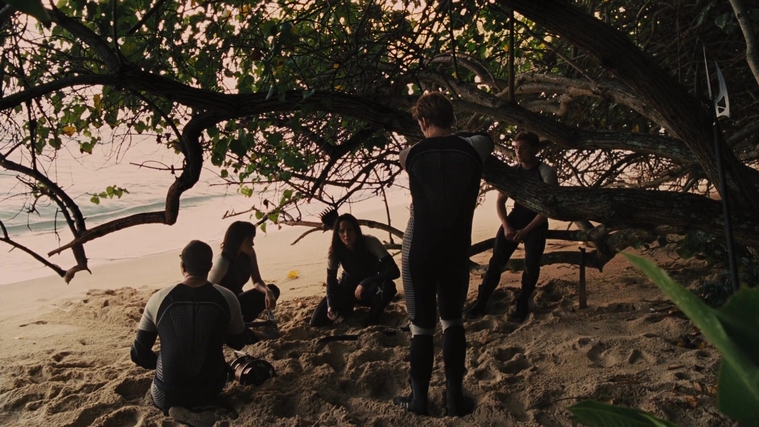 The_Hunger_Games_Catching_Fire_2013_1080p_BluRay_x264_AAC_-_Ozlem_09362.jpg