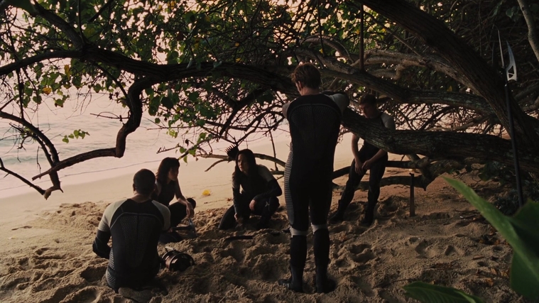 The_Hunger_Games_Catching_Fire_2013_1080p_BluRay_x264_AAC_-_Ozlem_09366.jpg