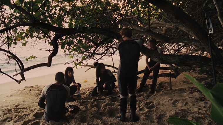 The_Hunger_Games_Catching_Fire_2013_1080p_BluRay_x264_AAC_-_Ozlem_09367.jpg
