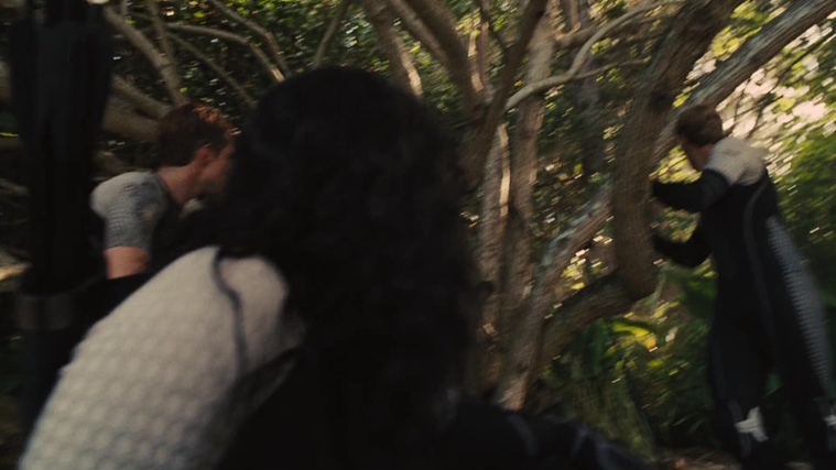 The_Hunger_Games_Catching_Fire_2013_1080p_BluRay_x264_AAC_-_Ozlem_09379.jpg